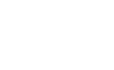 leonisa